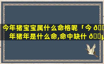 今年猪宝宝属什么命格呢「今 🌹 年猪年是什么命,命中缺什 🌵 么」